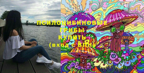 гашик Верхнеуральск