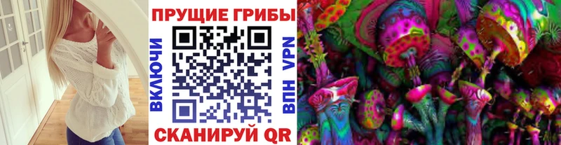 купить  цена  Невель  Псилоцибиновые грибы прущие грибы 